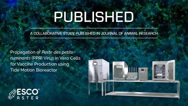 Propagation of Peste des petits ruminants (PPR) Virus in Vero Cells for Vaccine Production using Tide Motion Bioreactor